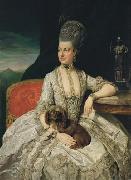Johann Zoffany Archduchess Maria Christina oil painting